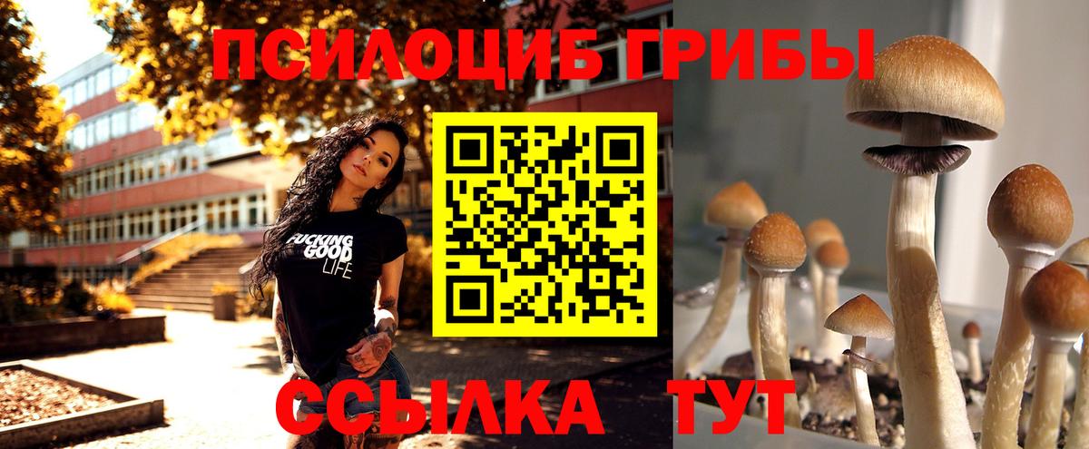 Псилоцибиновые грибы ЛСД  Псилоцибиновые грибы MAGIC MUSHROOMS  Дедовск  Вход с VPN 